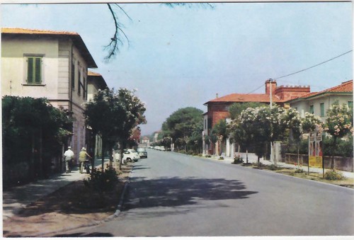 Forte dei marmi lucca - forte,