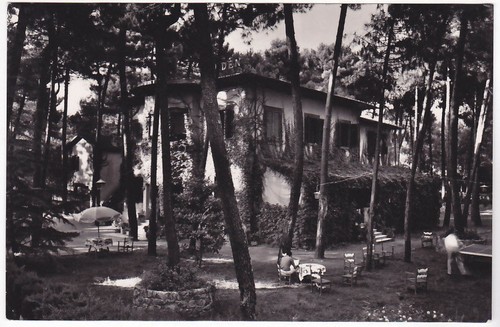 Forte dei marmi - dei,