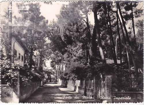 Forte dei marmi - forte, roma