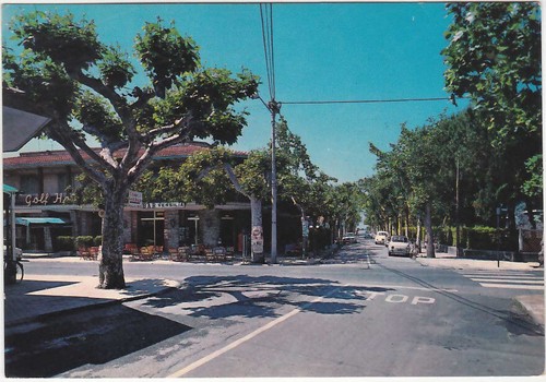 Forte dei marmi - forte,