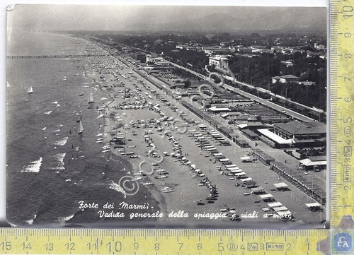 Cartolina postcard forte - cartolina,