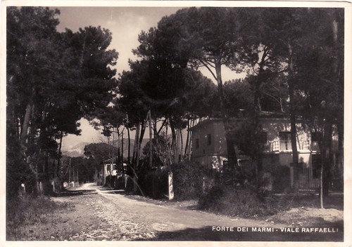 Forte dei marmi - #forte, viale