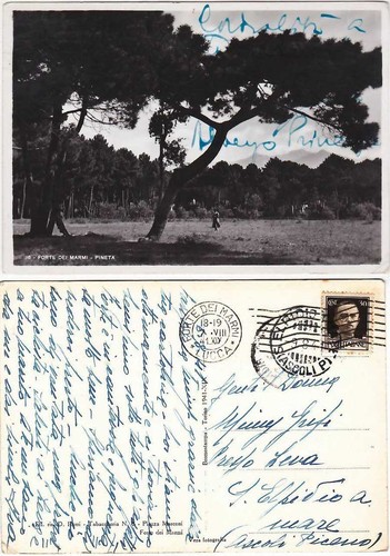 Forte dei marmi - forte,