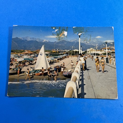 Forte dei marmi - forte,