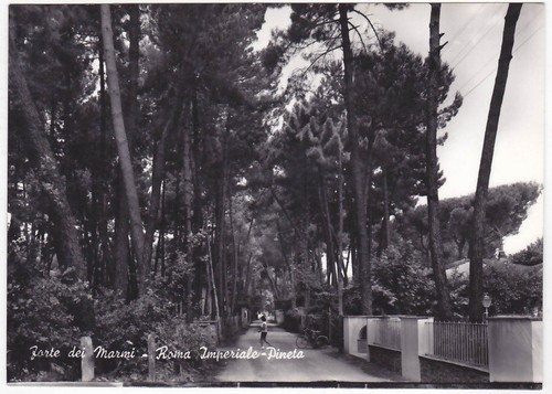 Forte dei marmi lucca roma - dei,