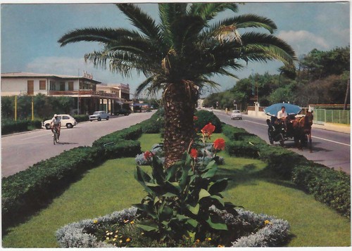 Forte dei marmi - -,